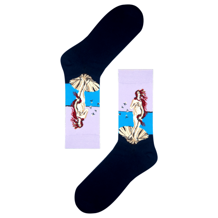 Medias El nacimiento de Venus - Image 1